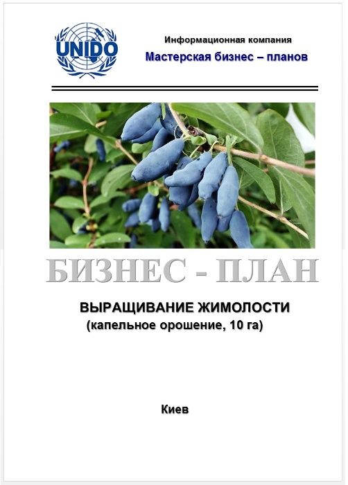 Бизнес-план готовый, на заказ 22 года опыта Кредит 5/7/9 Грант єРобота