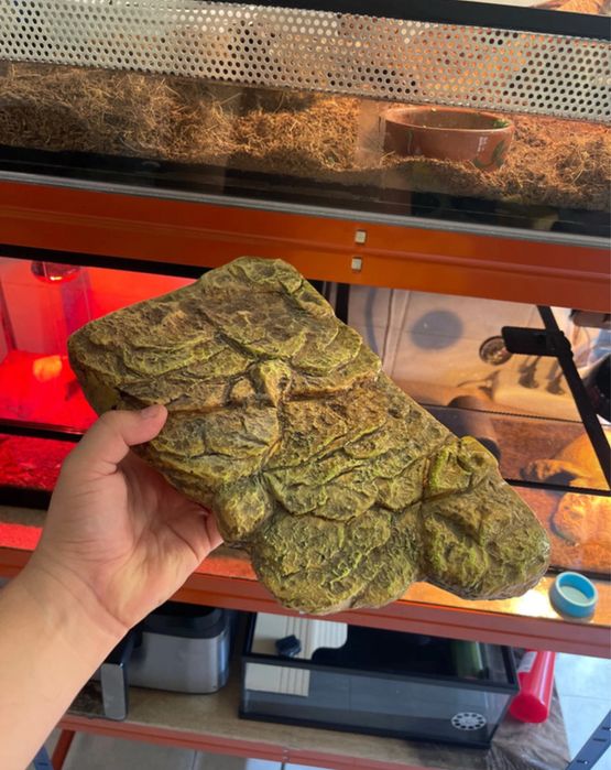 Plataforma tartaruga