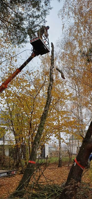 Podnosnik 20m, wycinka drzew, czyszczenie rynien, dachu. Mazowieckie.