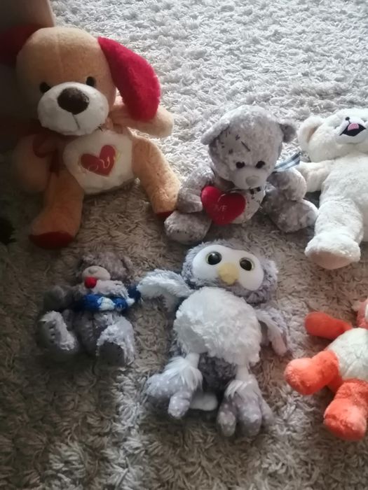 Maskotki różne cena za całość