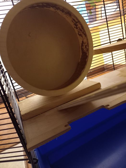Gaiola grande para hamster em 2a mão