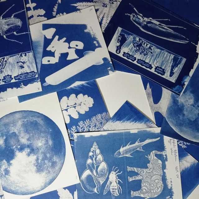 Kit Cianotipia: Arte Mágica para Família, Crianças e Profissionais