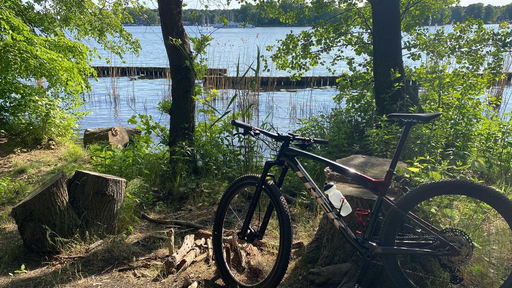 Trek Supercaliber 9.7 2022 L