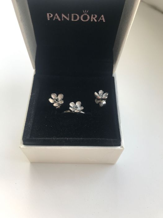 Набір прикрас PANDORA