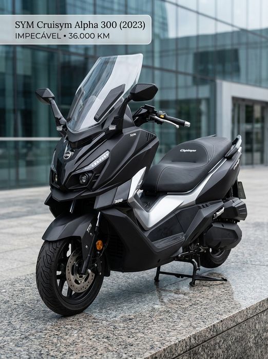 CruiSym Alpha 300