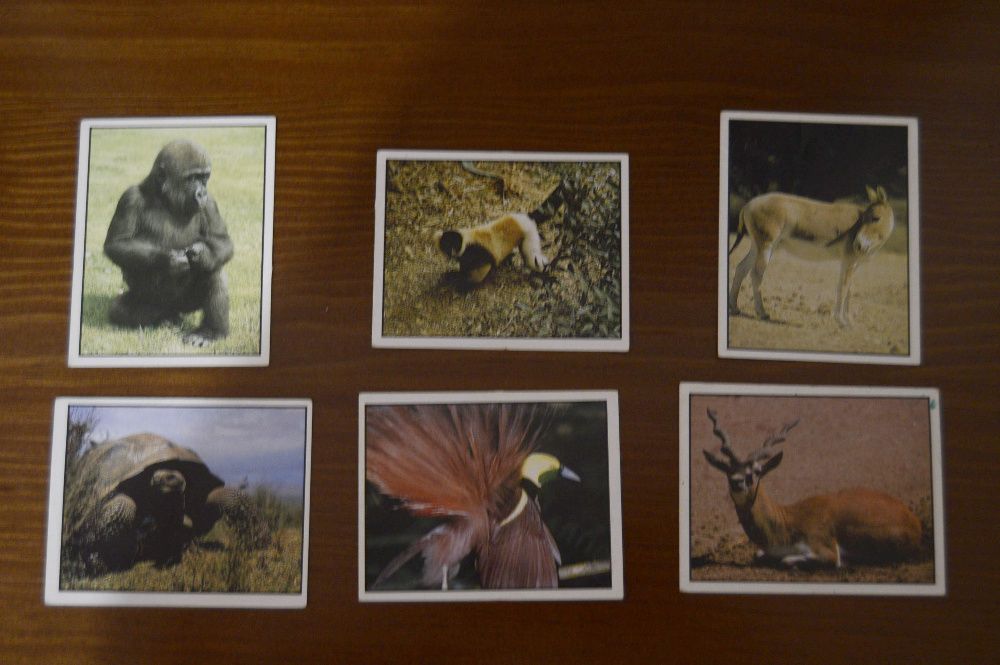 WWF - Threatened Animals - Panini