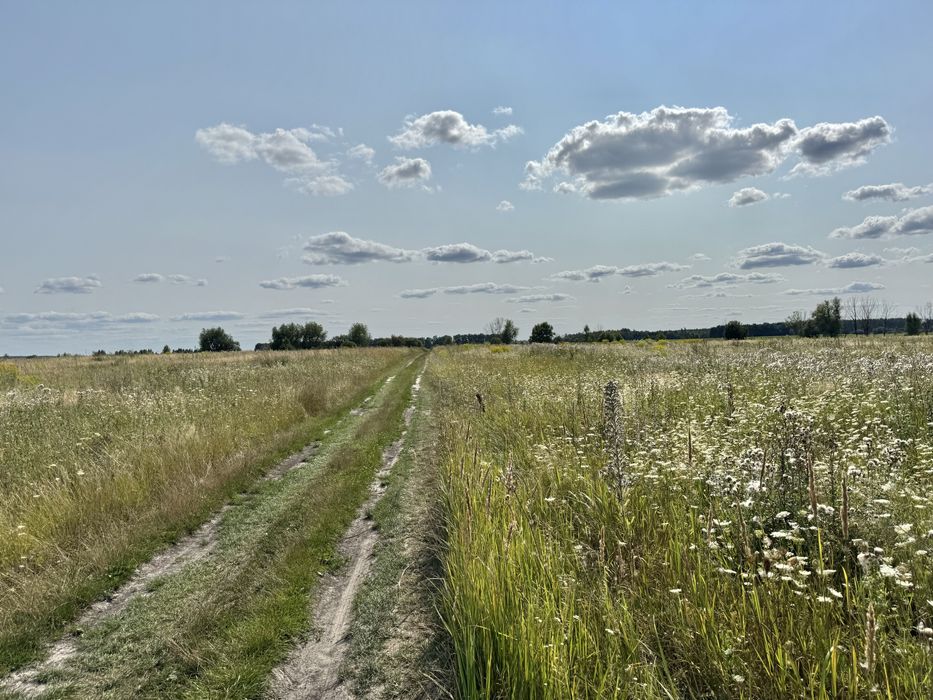 Земельна ділянка 5,9 га! Колонщина!