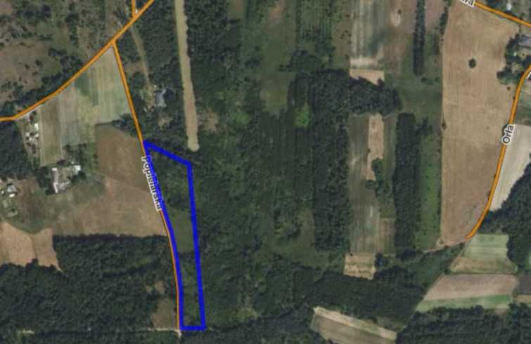 Działka rolno-leśna gm. Tarczyn