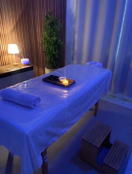Professional Massage Therapist