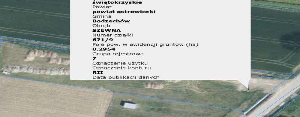 Zdjęcie 2