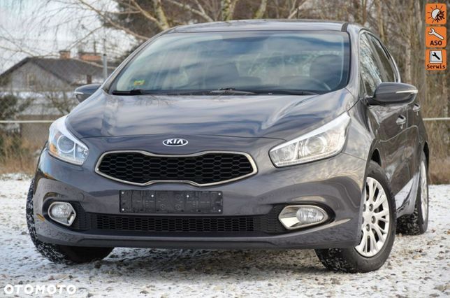 Stop Do Kia Ceed - Motoryzacja - Olx.pl