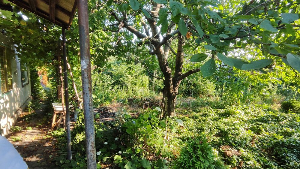 Пропонуємо затишну ділянку у Чорноморську, дім під реконструкцію