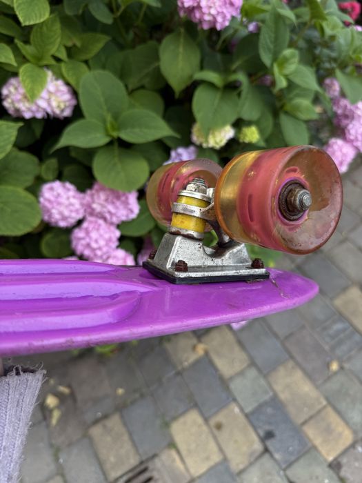 Скейт Пенні борд Penny board з малюнком для дітей і підлітків Фіолетовий