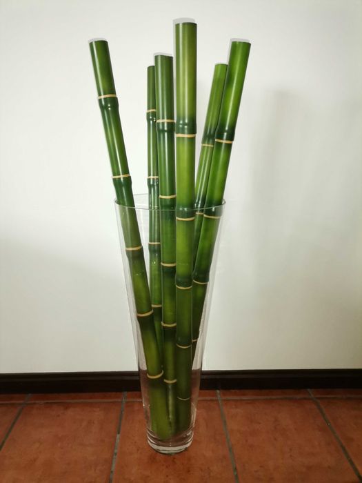 Jarrão vidro com canas de bambu