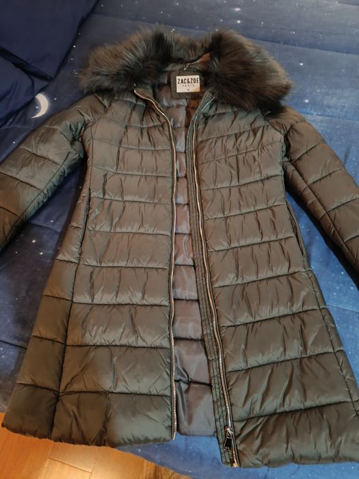 Kispo verde com pelo