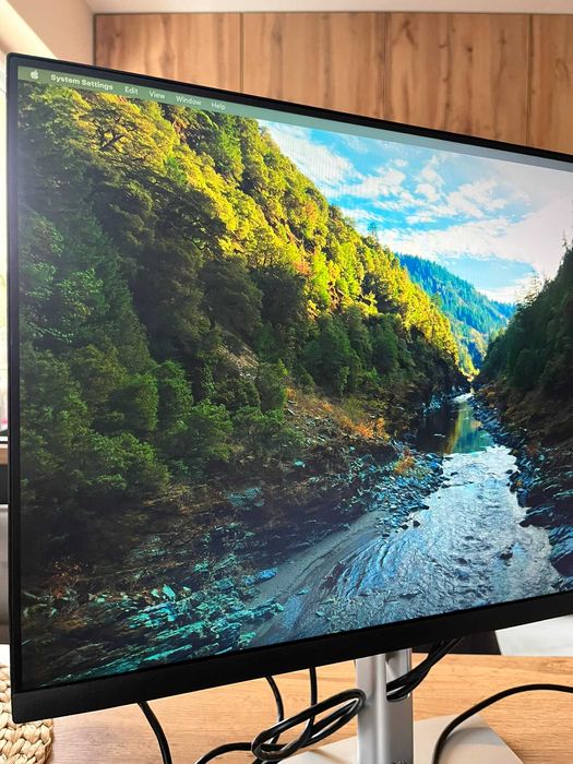 MONITOR DELL P2422H IPS 1920x1080