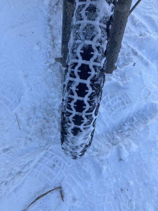 Продам альфа мустанг