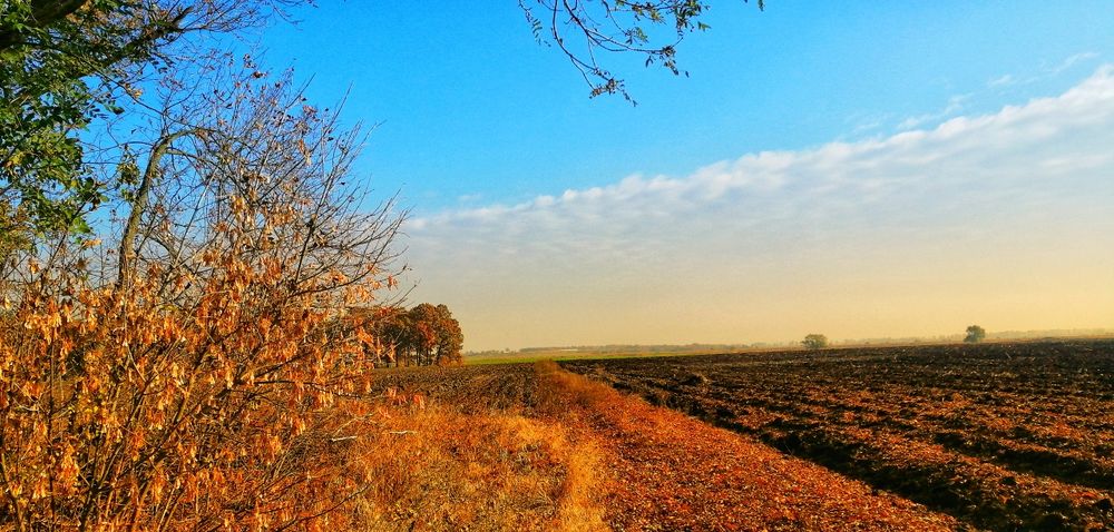 Продам участок Калиновское