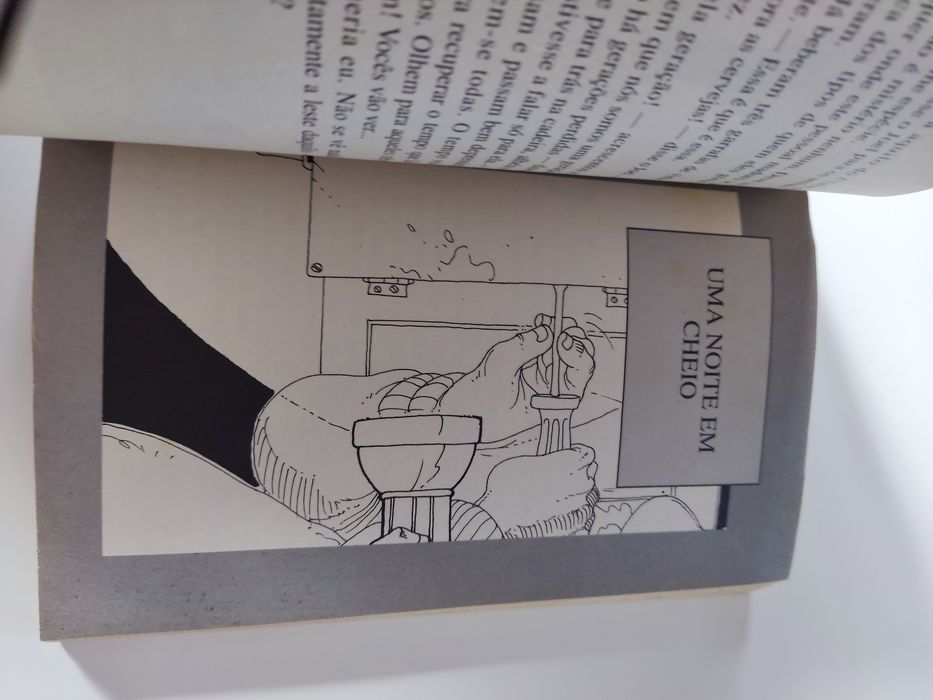 Livro O rei lagarto de triângulo jota