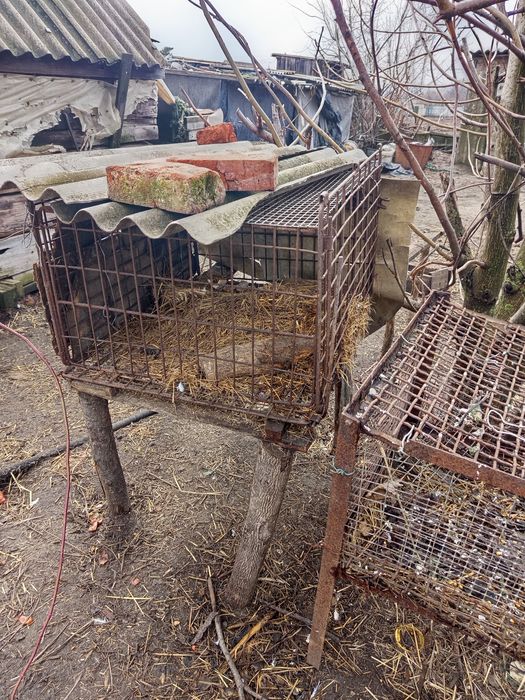 Продам клетки из сетки, есть одна деревянная на два отдела