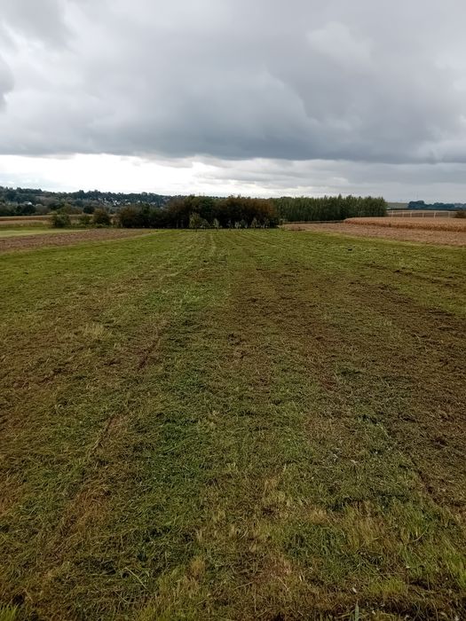 Usługi koszenia traw