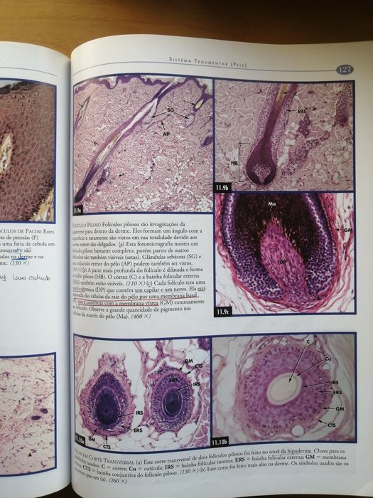 Atlas fotográfico de Histologia. Medicina; Patologia