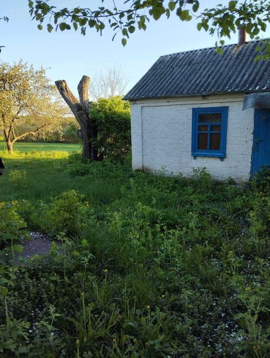 будинок + літня кухня + ділянка 56 соток + горіховий сад