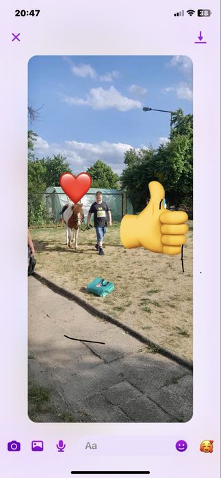 Sprzedam kucyczke bardzo spokojna