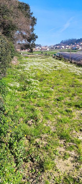 Terreno à venda em Terroso – 2.060 m² com grande potencial!