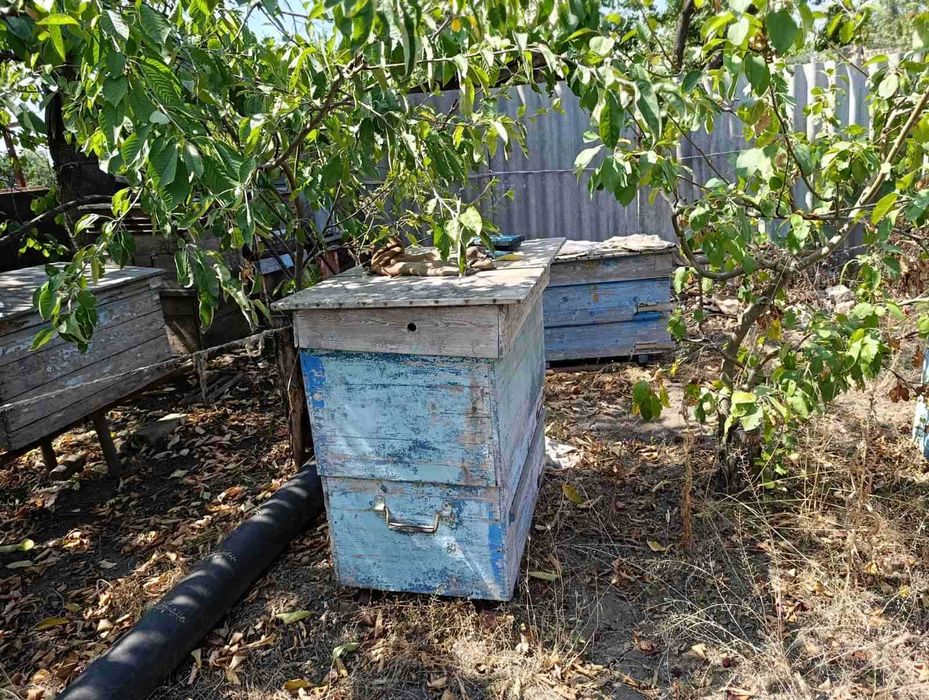 Продаж Вуликів для бджіл