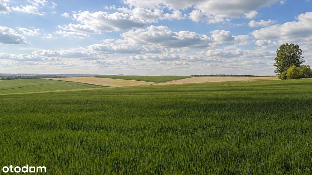 Wspaniała panorama każdego dnia | Działka budowlana 3010 m² Tarnawatka