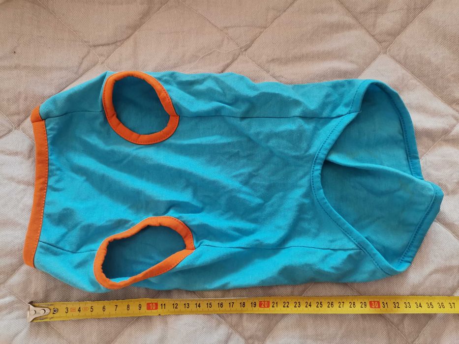 Речі для маленьких собак