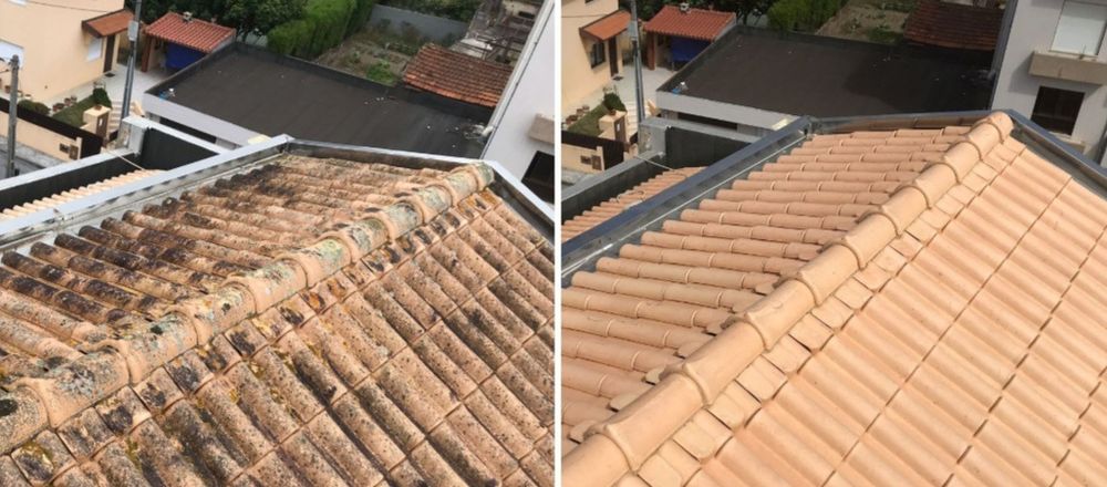 Limpeza de telhados paredes  e muros