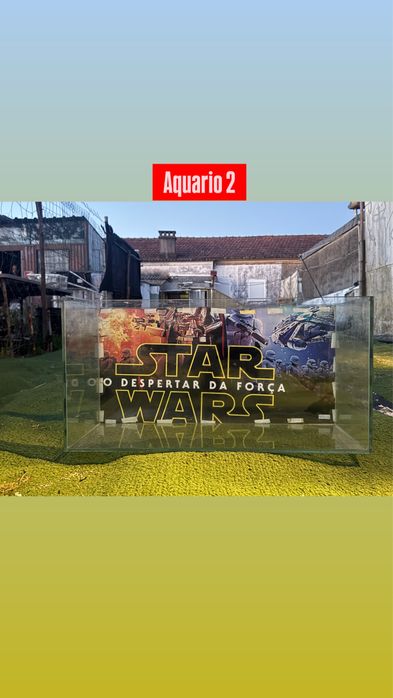Aquários | Oportunidade imperdível