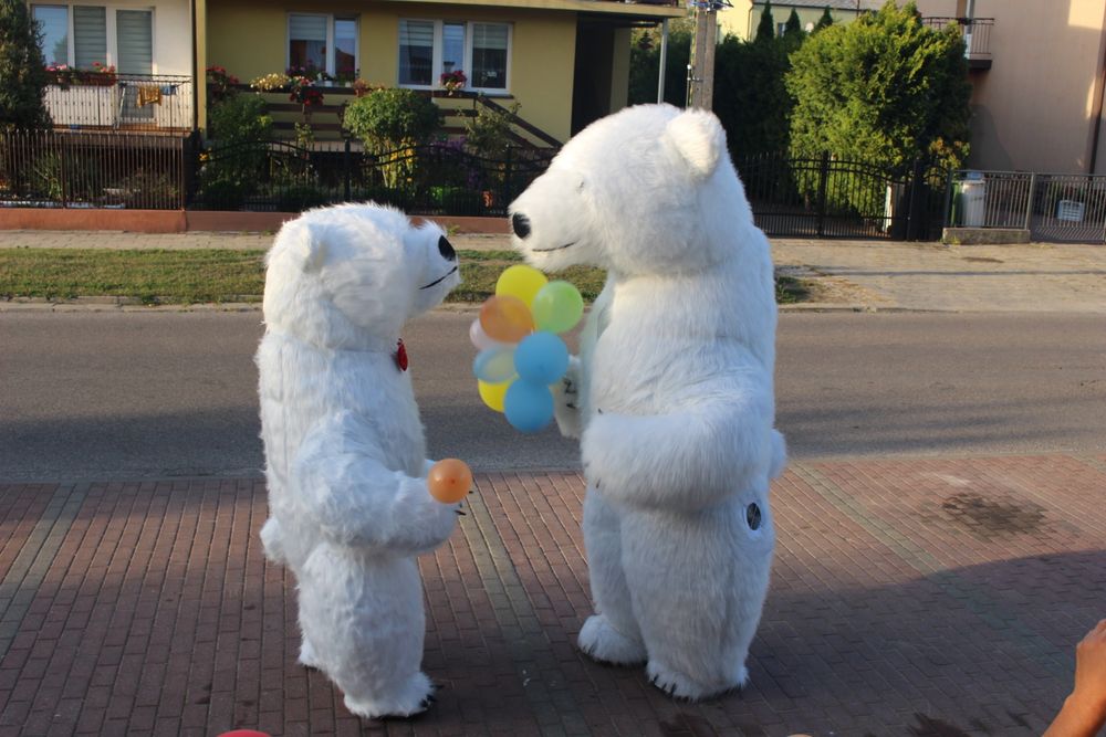 Pogodny Biały Miś Niespodzianka Na Każdą Imprezę