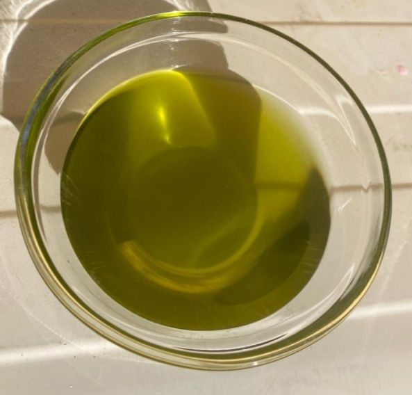 Azeite Novo  Ribatejano colheita 2025