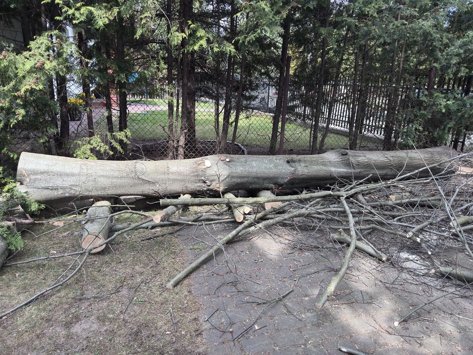 Sprzedam Drewno dębowe, kłody dębowe