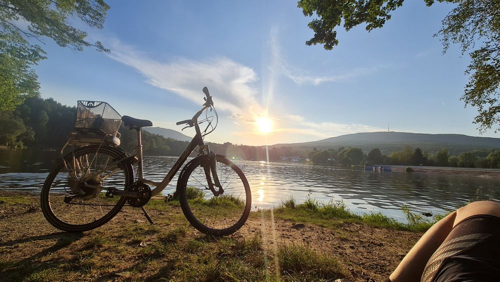 Rower elektryczny Trek Navigator T500+