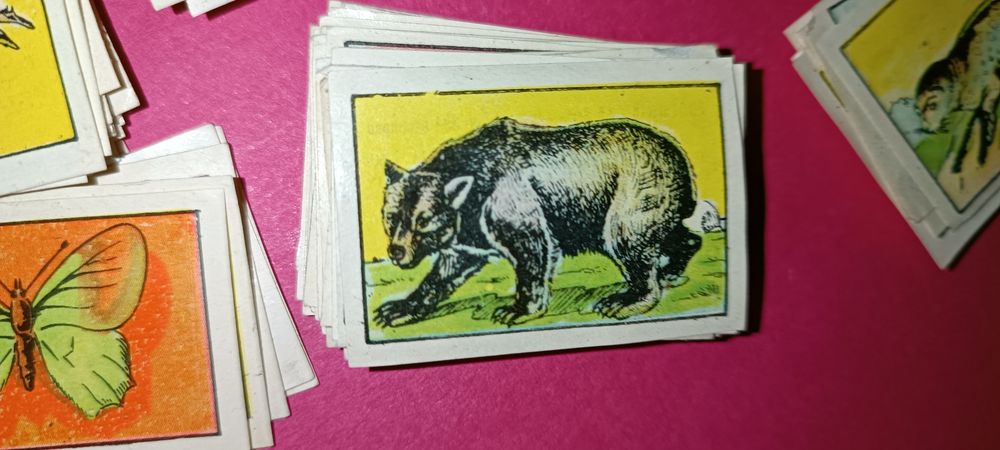 Antigos cromos da coleção zoologia 1 série