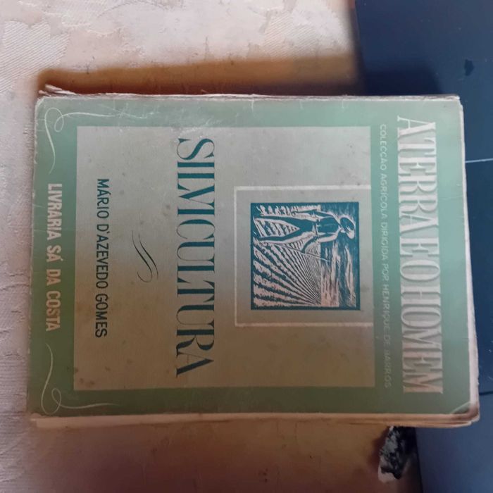 Mario D'azevedo Gomes, Silvicultura