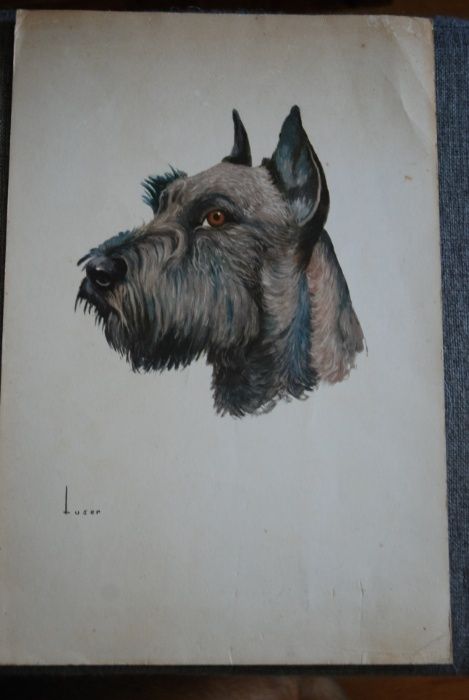 Estampas diversas antigas