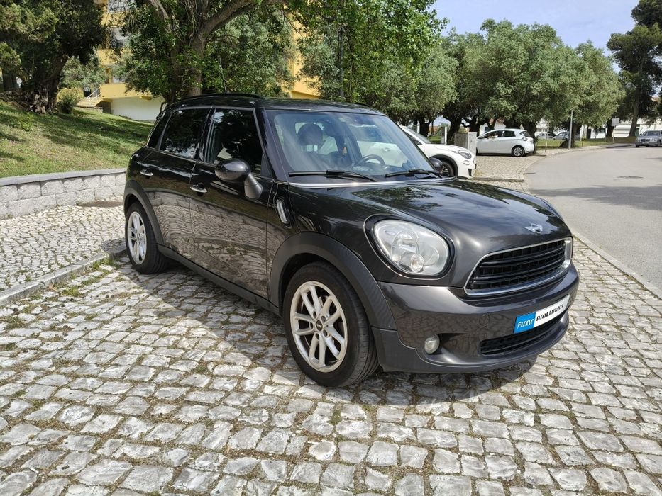 Countryman One D