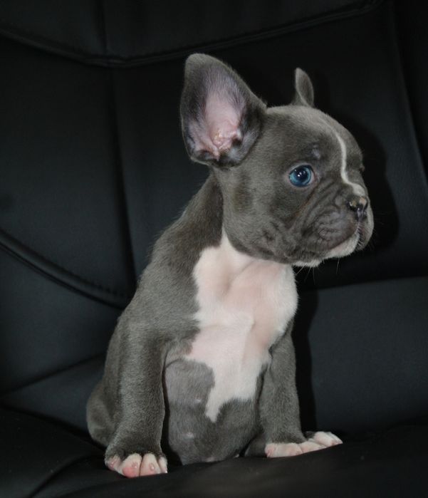 Шикарная девочка ждёт семью