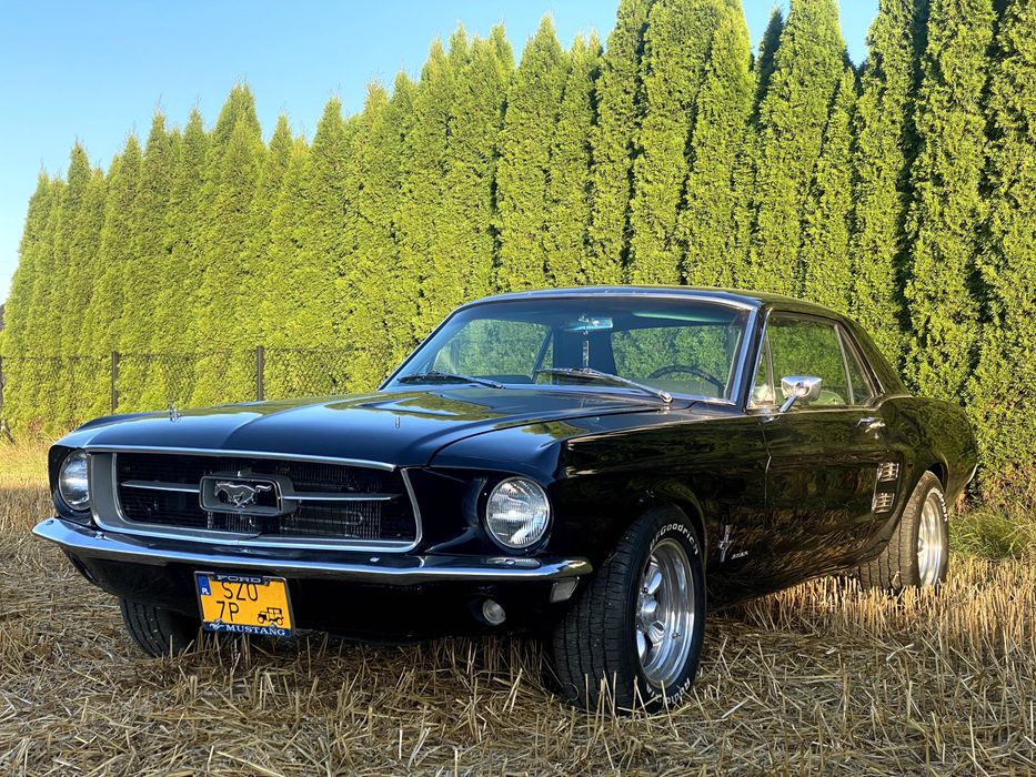 Ford Mustang 1966/67/68 do ślubu – TY PROWADZISZ – RASCAR.PL