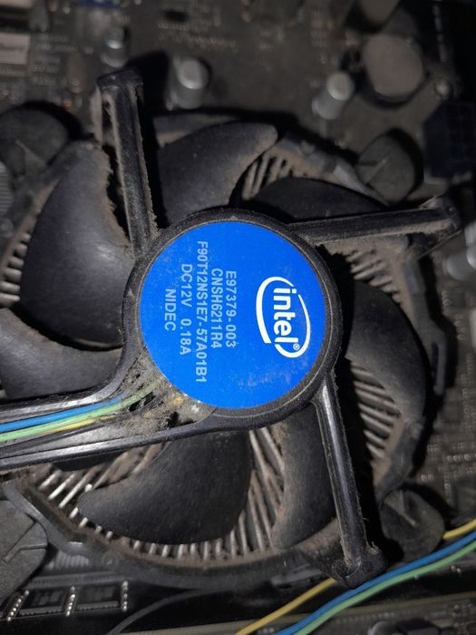 Материнка ASUS B250