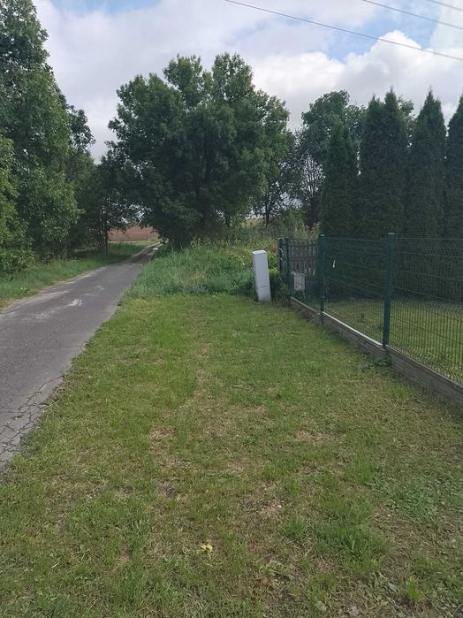 Wynajmę działkę - Widok 3