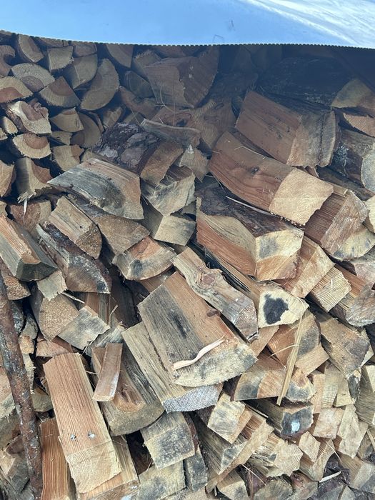 Drewno opałowe sosna , brzoza, buk i dąb