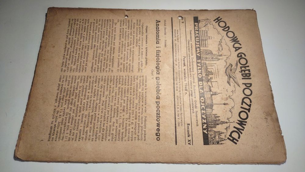 Hodowca gołębi pocztowych 9 1948