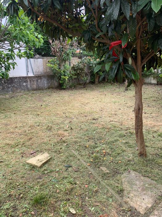 Serviços de limpeza de terrenos e quintal, corte de árvores de médio e pequeno porte