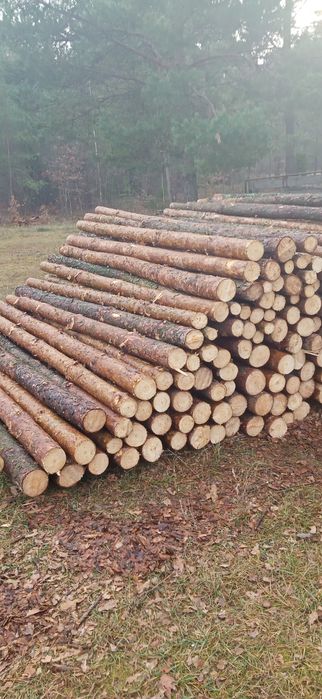 Stemple budowlane Słupki ogrodzeniowe